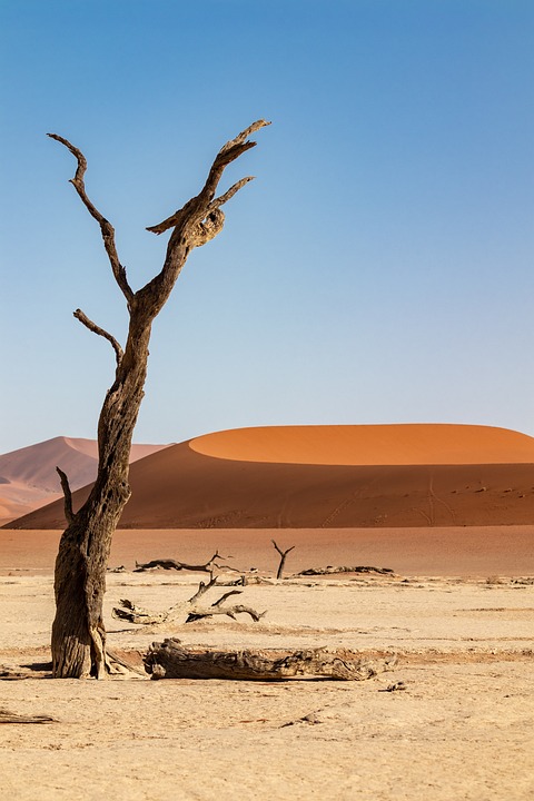 namibia-4965457_960_720